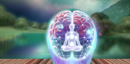 Rewiring the Brain: The Transformative Power of a Week-Long Meditation Retreat