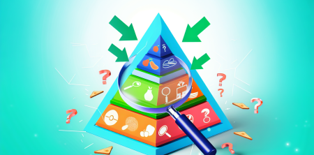 Navigating the New Food Pyramid: Consumer Confusion and Dietary Challenges