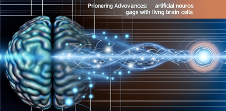 Pioneering Advances: Artificial Neurons Bridge Gap with Living Brain Cells