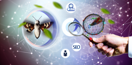 How TurboQuant Technology Could Transform SEO Dynamics for Small Businesses
