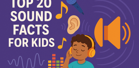Top 20 Sound Facts for Kids