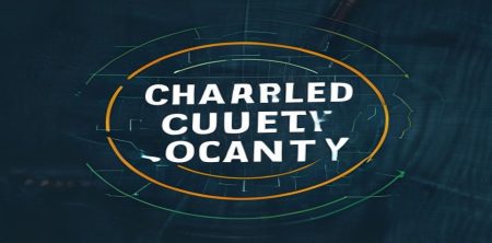 Chartered Accountancy: Complete Path