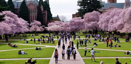 100 Most Influential People in Coding