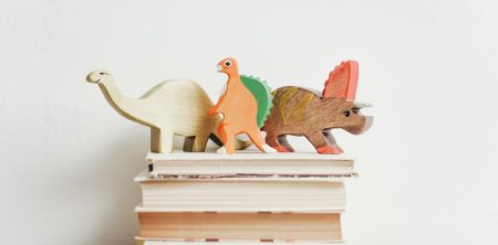 What is an Exhibition?