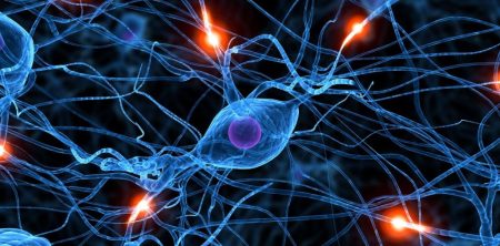 The Neuroscience of Learning: A Handbook for Teachers