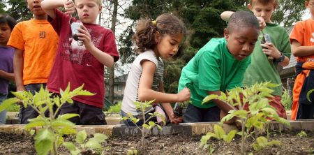 Experiential Education: Comprehensive Implementation Models