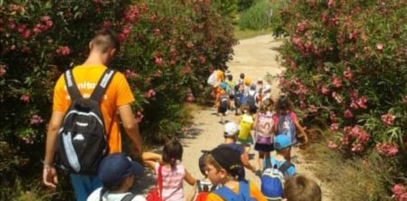 Field Trip Planning: Educational Excursion Guide