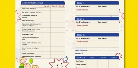 Progress Monitoring Systems for Academic Intervention: A Comprehensive Analysis
