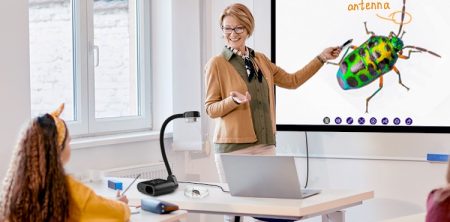 From Entertainment to Education: How Teachers Transform Animated Shows into Learning Tools