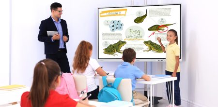 Animated Shows as Cultural Mirrors: How Teachers Use Animation to Promote Diversity and Inclusion