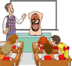 Animated Education: The Surprising Science Behind How Cartoons Help Teachers Reach Students