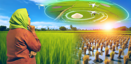 Climate Pressures Prompt Rice Farmers to Rethink Future Generations