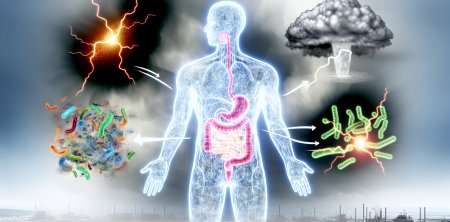 Unraveling the Connection: How Gut Bacteria, Pollution, and Inflammation Influence Depression