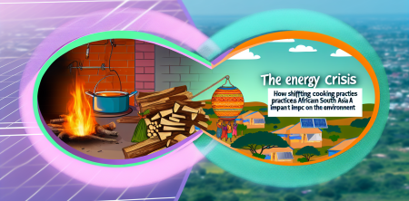 The Energy Crisis: How Shifting Cooking Practices in Africa and South Asia Impact the Environment