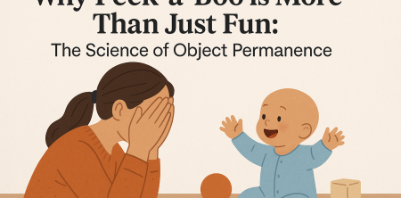 The Science of Peek-a-Boo: Unlocking Object Permanence