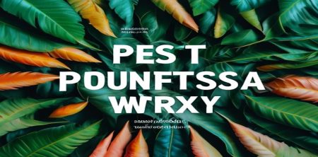Best Fonts for Dyslexia and Why They Work