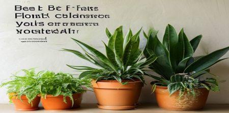 Top Fragrant Houseplants for a Sweet-Smelling Home Year-Round