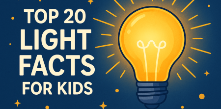 20 Fun Light Facts for Kids: Explore the Science of Light!