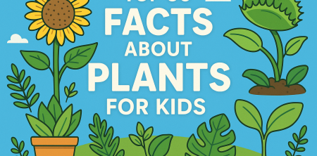 Top 30 Facts About Plants for Kids